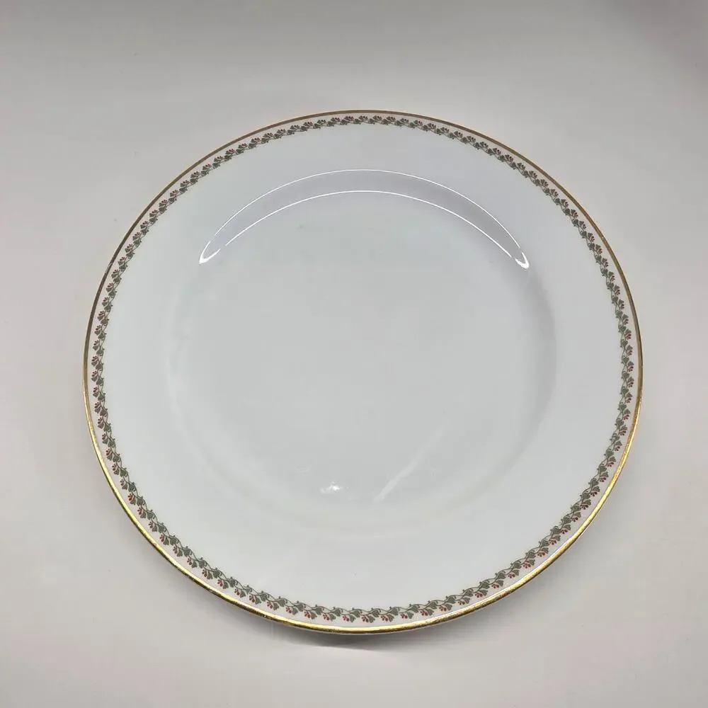 Haviland Limoges France Floral Gold Rim Dinner Plates Lot of 6 10